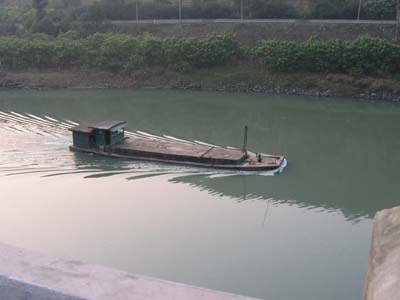 171715743.jpg